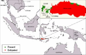 220px-komodo_dragon_distribution.gif